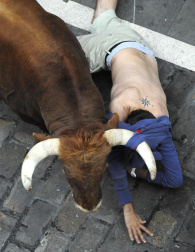 Imágenes del segundo encierro de los Sanfermines 2011 protagonizado por toros de la ganadería Cebada Gago.