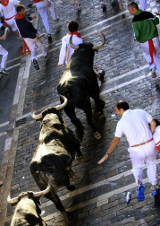 Imágenes del segundo encierro de los Sanfermines 2011 protagonizado por toros de la ganadería Cebada Gago.