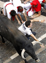 Imágenes del segundo encierro de los Sanfermines 2011 protagonizado por toros de la ganadería Cebada Gago.