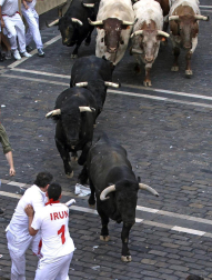 Imágenes del segundo encierro de los Sanfermines 2011 protagonizado por toros de la ganadería Cebada Gago.