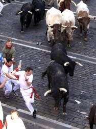 Imágenes del segundo encierro de los Sanfermines 2011 protagonizado por toros de la ganadería Cebada Gago.