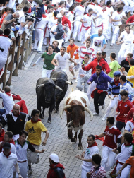 Imágenes del segundo encierro de los Sanfermines 2011 protagonizado por toros de la ganadería Cebada Gago.