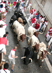 Tercer encierro de los Sanfermines 2011 protagonizado por toros de la ganadería Dolores Aguirre.