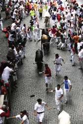 Tercer encierro de los Sanfermines 2011 protagonizado por toros de la ganadería Dolores Aguirre.