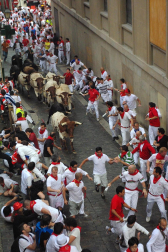 Tercer encierro de los Sanfermines 2011 protagonizado por toros de la ganadería Dolores Aguirre.