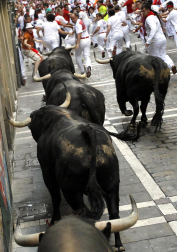 Imágenes del encierro del 12 de julio, con toros de Victoriano del Río