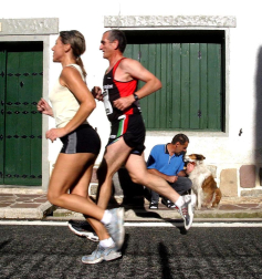 Resumen gráfico de las cinco ediciones de la Roncesvalles-Zubiri