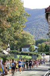 Resumen gráfico de las cinco ediciones de la Roncesvalles-Zubiri
