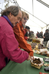 X Feria de la Trufa en Navarra