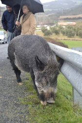 X Feria de la Trufa en Navarra