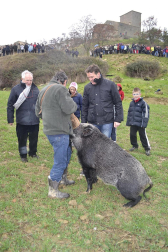 X Feria de la Trufa en Navarra