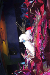 Varias imágenes del Carnaval de Santa Cruz de Tenerife 2012