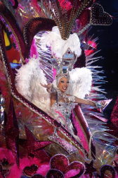 Varias imágenes del Carnaval de Santa Cruz de Tenerife 2012