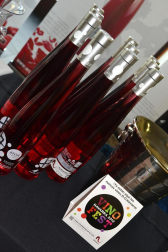 Imágenes de la muestra VinoFest 2012, el evento que da la bienvenida a los nuevos vinos D.O.Navarra