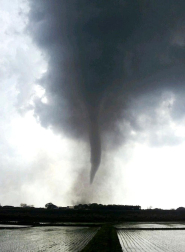 Una persona ha fallecido y 40 más se encuentran heridas por el paso de un tornado por la localidad de Tsukuba, en la prefectura de Ibaraki, en el este de Japón. E.PRESS