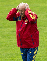 Llegada y entrenamiento de la selección española de fútbol en la localidad australiana de Schruns, previa a la disputa de la Eurocopa 2012 de Polonia y Ucrania.