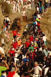 Imágenes de las fiestas patronales en las localidades navarras de Burlada, Cabanillas, Falces, Monteagudo, Murchante y Tafalla