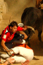 Imágenes de las fiestas patronales en las localidades navarras de Burlada, Cabanillas, Falces, Monteagudo, Murchante y Tafalla