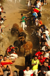 Imágenes de las fiestas patronales en las localidades navarras de Burlada, Cabanillas, Falces, Monteagudo, Murchante y Tafalla