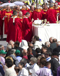 522 religiosos, 29 de ellos navarros y casi todos asesinados durante la Guerra Civil española, han sido beatificados en Tarragona ante unas 25.000 personas.