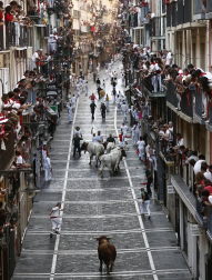 Varios 'cebadas' sueltos siembran el pánico y dejan cinco corneados