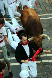 Varios 'cebadas' sueltos siembran el pánico y dejan cinco corneados