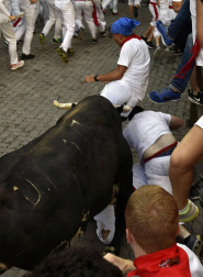 Varios 'cebadas' sueltos siembran el pánico y dejan cinco corneados