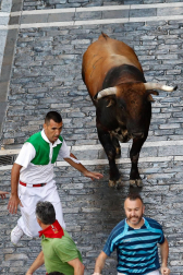 Imágenes exclusivas del segundo encierro de los fotógrafos de Diario de Navarra.