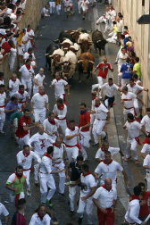 Imágenes exclusivas del segundo encierro de los fotógrafos de Diario de Navarra.