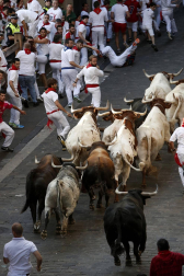 Imágenes exclusivas del segundo encierro de los fotógrafos de Diario de Navarra.
