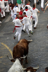 Imágenes exclusivas del segundo encierro de los fotógrafos de Diario de Navarra.