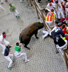 Imágenes exclusivas del segundo encierro de los fotógrafos de Diario de Navarra.