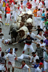 Imágenes exclusivas del segundo encierro de los fotógrafos de Diario de Navarra.