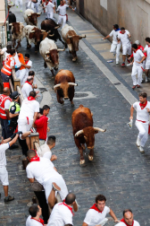 Un encierro masivo y sin cornadas en el domingo de Sanfermines