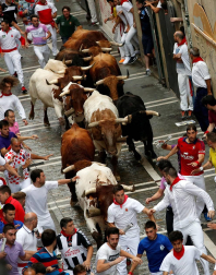 Un encierro masivo y sin cornadas en el domingo de Sanfermines