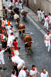 Un encierro masivo y sin cornadas en el domingo de Sanfermines