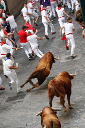 Un encierro masivo y sin cornadas en el domingo de Sanfermines