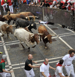 Un encierro masivo y sin cornadas en el domingo de Sanfermines