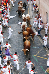 Un encierro masivo y sin cornadas en el domingo de Sanfermines