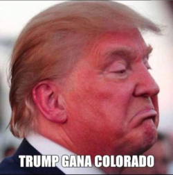 Las redes sociales se llenan de 'memes' tras la victoria de Donald Trump.