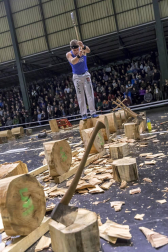 Fotos del Campeonato navarro de aizkora de Primera, celebrado el 18 de noviembre en el frontón de Doneztebe.