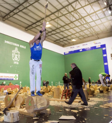 Fotos del Campeonato navarro de aizkora de Primera, celebrado el 18 de noviembre en el frontón de Doneztebe.