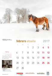 Este domingo, gratis con Diario de Navarra, se entrega el calendario 2017 de Conocer Navarra