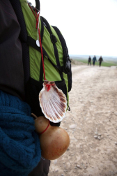 Javierada. Los peregrinos de la Ribera almuerzan en el yugo y atraviesan las Bardenas, camino de Javier