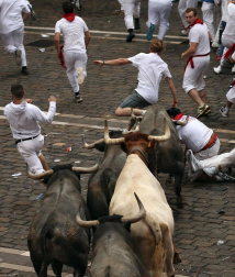 Un norteamericano de 22 años ha resultado herido grave en el segundo encierro de San Fermín 2017 al ser empitonado en un brazo por uno de los toros de José Escolar.