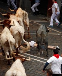 Un norteamericano de 22 años ha resultado herido grave en el segundo encierro de San Fermín 2017 al ser empitonado en un brazo por uno de los toros de José Escolar.