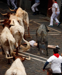 Imágenes de la carrera el 8 de julio.
