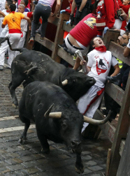 Imágenes del quinto encierro de San Fermín