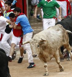 Imágenes del quinto encierro de San Fermín