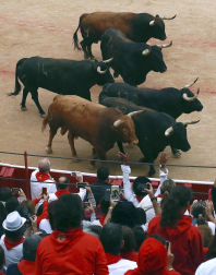 Imágenes del séptimo encierro de San Fermín 2017